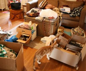 Decluttering tips a room filled with moving boxes