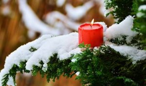 Festive Candle on a Tree