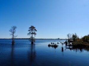 Lake Drummond in Chesapeake, VA